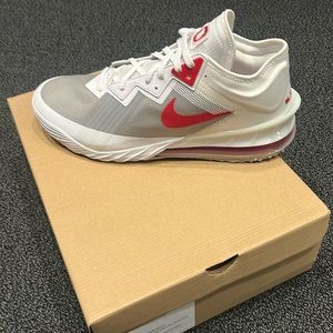 Lebron XVIII LOW NCAA SOS